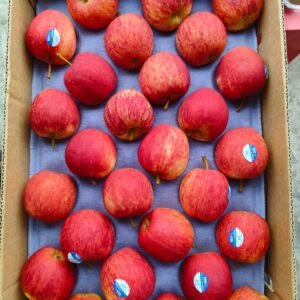 Chile Gala Apple